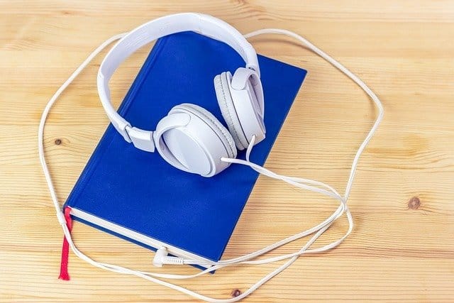 livre audio 1 audiodescription voix off